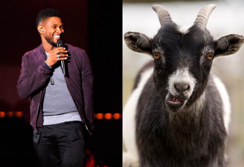 Usher & Goat