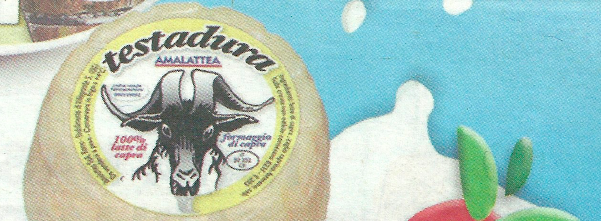 Testa Dura Goat Cheese